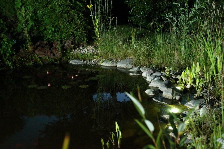 Ferienwohnung Welcome Mit Seeblick Schalkenmehren Esterno foto