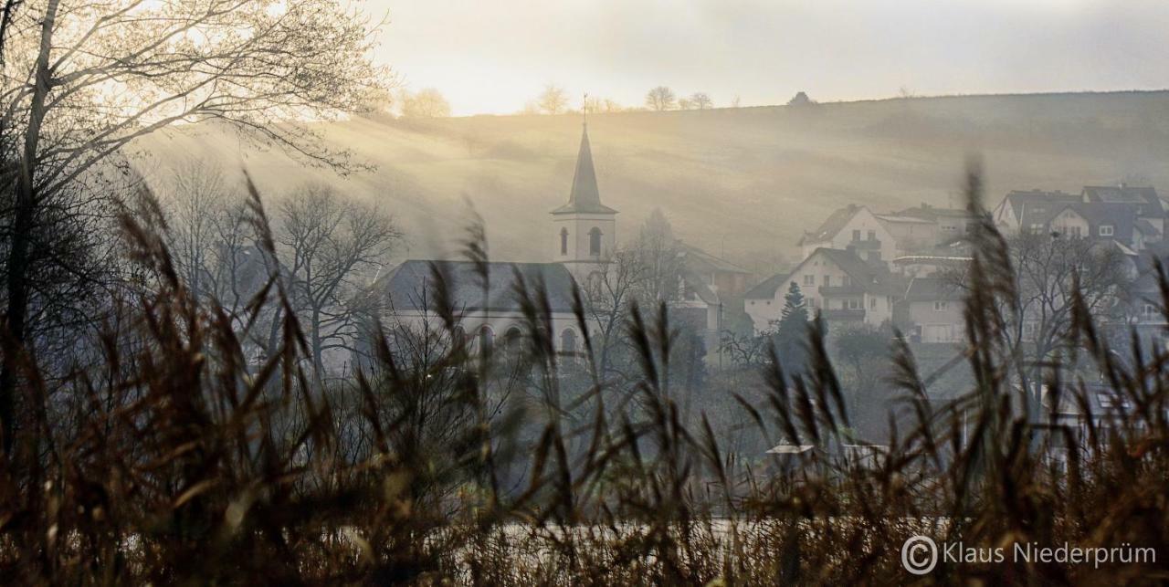 Ferienwohnung Welcome Mit Seeblick Schalkenmehren Esterno foto