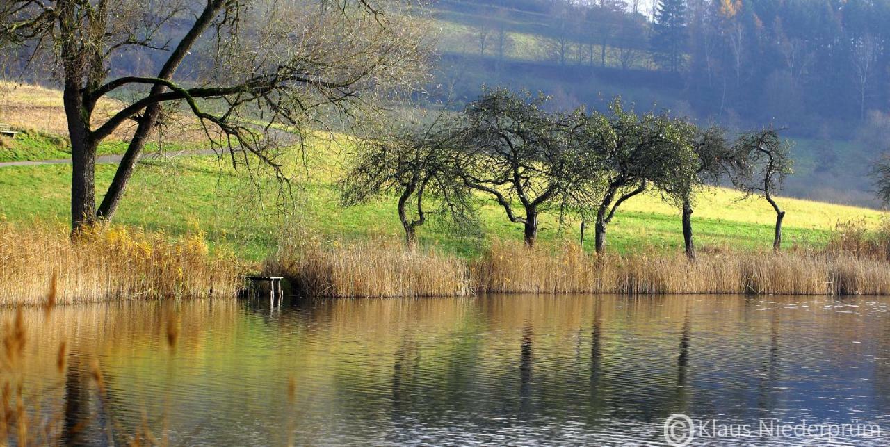 Ferienwohnung Welcome Mit Seeblick Schalkenmehren Esterno foto
